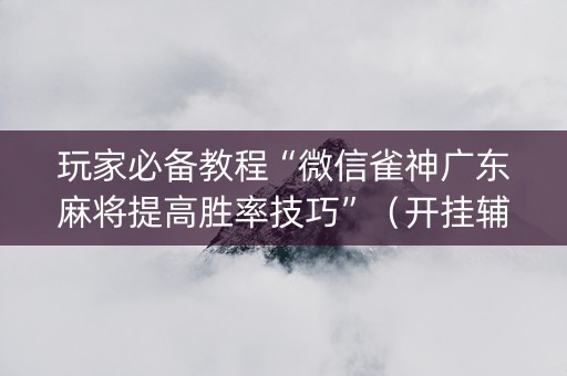 玩家必备教程“微信雀神广东麻将提高胜率技巧”（开挂辅助脚本)
