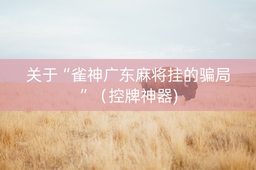 关于“雀神广东麻将挂的骗局”（控牌神器)