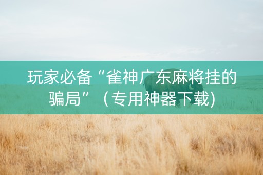 玩家必备“雀神广东麻将挂的骗局”（专用神器下载)