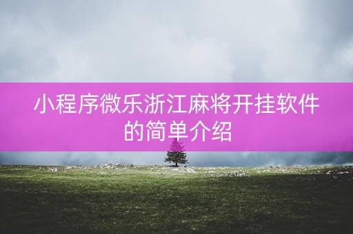 小程序微乐浙江麻将开挂软件的简单介绍
