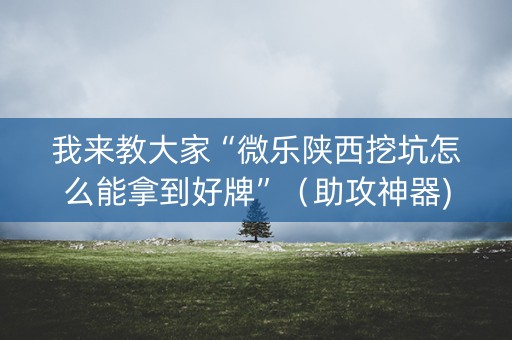 我来教大家“微乐陕西挖坑怎么能拿到好牌”（助攻神器)