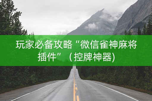 玩家必备攻略“微信雀神麻将插件”（控牌神器)