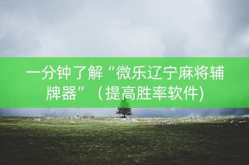 一分钟了解“微乐辽宁麻将辅牌器”（提高胜率软件)