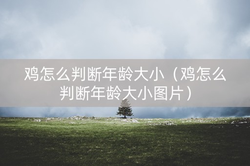 鸡怎么判断年龄大小（鸡怎么判断年龄大小图片）