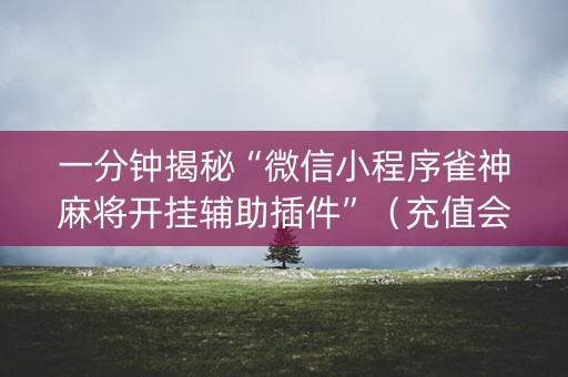 一分钟揭秘“微信小程序雀神麻将开挂辅助插件”（充值会提高胜率么)