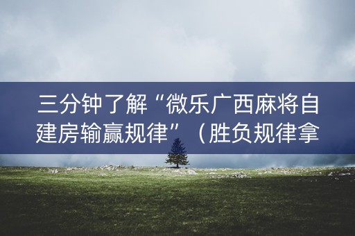 三分钟了解“微乐广西麻将自建房输赢规律”（胜负规律拿好牌)
