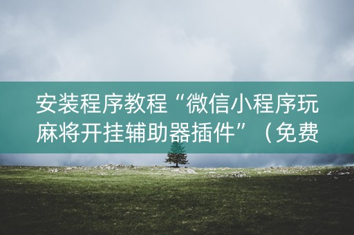 安装程序教程“微信小程序玩麻将开挂辅助器插件”（免费辅助)