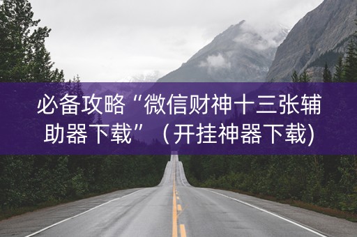 必备攻略“微信财神十三张辅助器下载”（开挂神器下载)