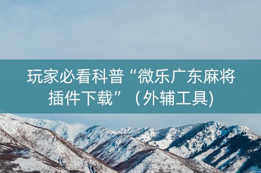 玩家必看科普“微乐广东麻将插件下载”（外辅工具)