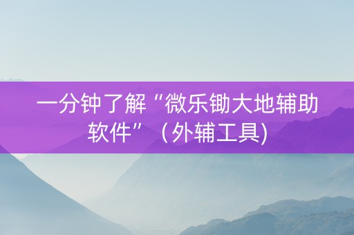 一分钟了解“微乐锄大地辅助软件”（外辅工具)