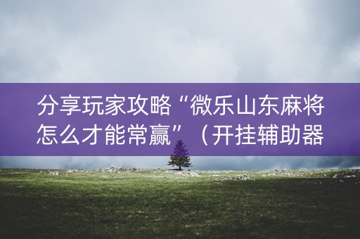 分享玩家攻略“微乐山东麻将怎么才能常赢”（开挂辅助器插件)
