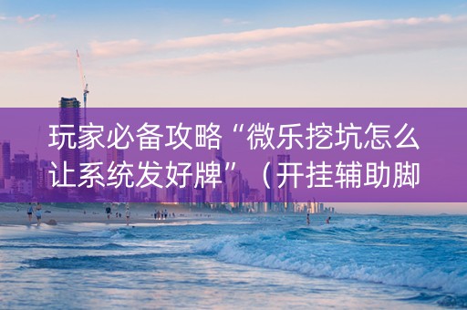 玩家必备攻略“微乐挖坑怎么让系统发好牌”（开挂辅助脚本)