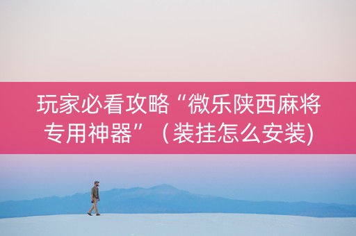 玩家必看攻略“微乐陕西麻将专用神器”（装挂怎么安装)
