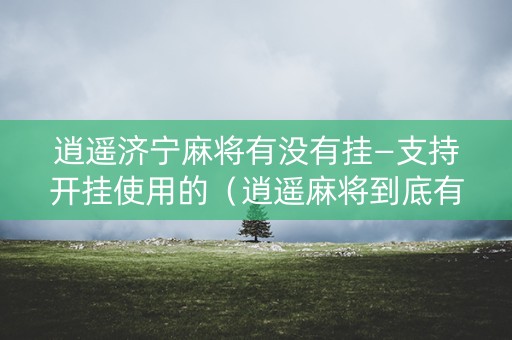 逍遥济宁麻将有没有挂—支持开挂使用的（逍遥麻将到底有没有挂）