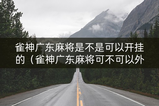 雀神广东麻将是不是可以开挂的（雀神广东麻将可不可以外面挂）