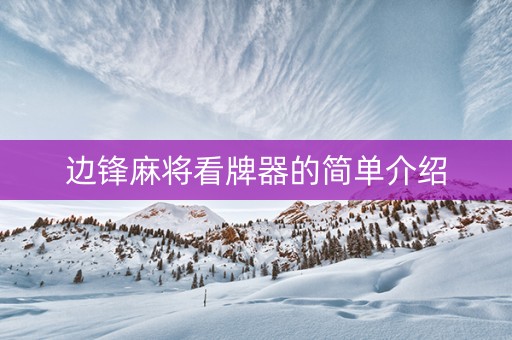 边锋麻将看牌器的简单介绍