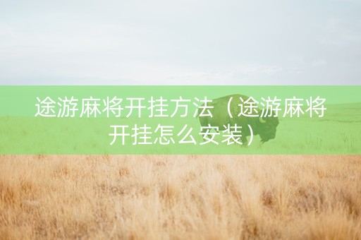 途游麻将开挂方法（途游麻将开挂怎么安装）