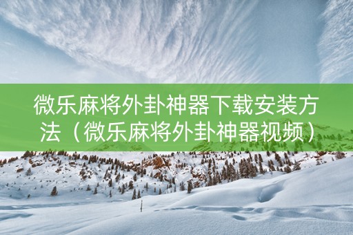 微乐麻将外卦神器下载安装方法（微乐麻将外卦神器视频）