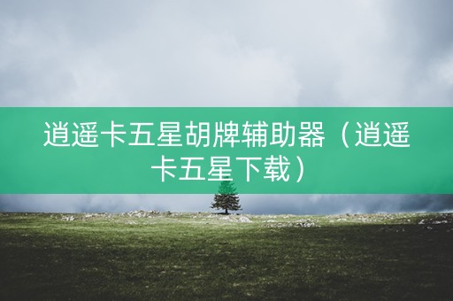逍遥卡五星胡牌辅助器（逍遥卡五星下载）