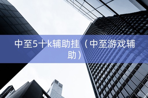 中至5十k辅助挂（中至游戏辅助）