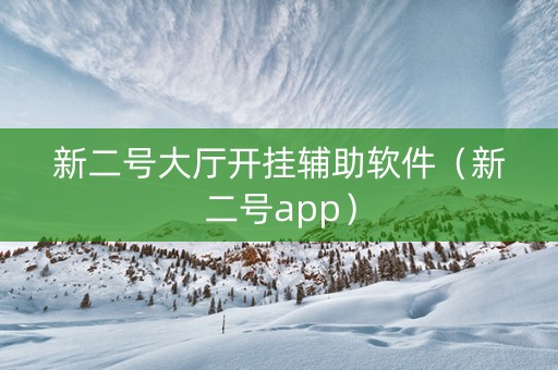 新二号大厅开挂辅助软件（新二号app）