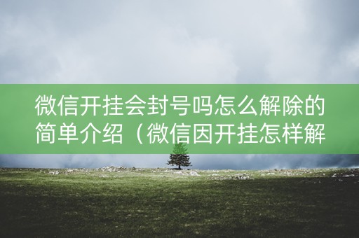 微信开挂会封号吗怎么解除的简单介绍（微信因开挂怎样解封）