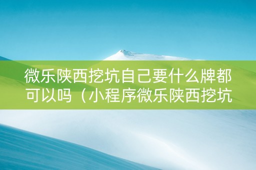微乐陕西挖坑自己要什么牌都可以吗（小程序微乐陕西挖坑辅助）