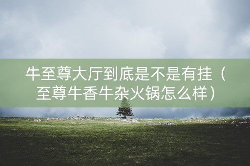 牛至尊大厅到底是不是有挂（至尊牛香牛杂火锅怎么样）