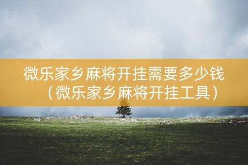 微乐家乡麻将开挂需要多少钱（微乐家乡麻将开挂工具）