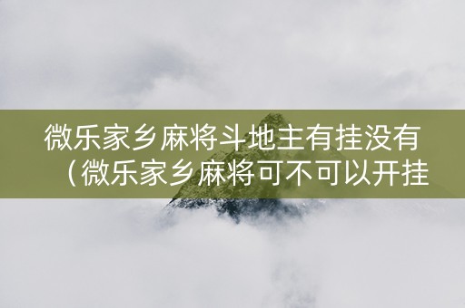 微乐家乡麻将斗地主有挂没有（微乐家乡麻将可不可以开挂）