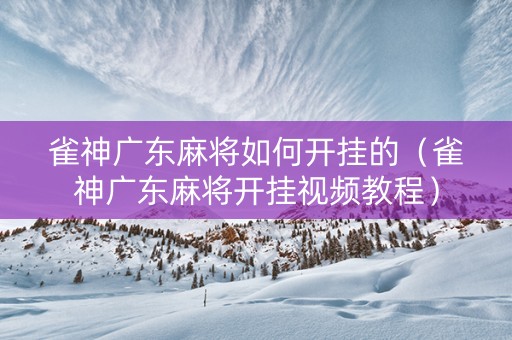 雀神广东麻将如何开挂的（雀神广东麻将开挂视频教程）