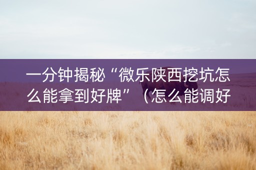 一分钟揭秘“微乐陕西挖坑怎么能拿到好牌”（怎么能调好牌)