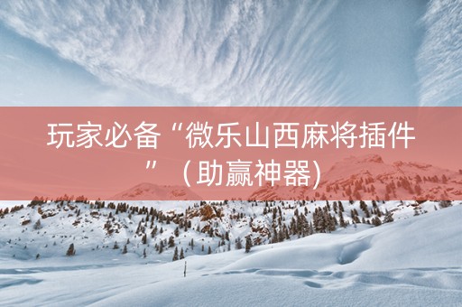 玩家必备“微乐山西麻将插件”（助赢神器)
