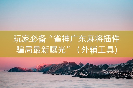 玩家必备“雀神广东麻将插件骗局最新曝光”（外辅工具)