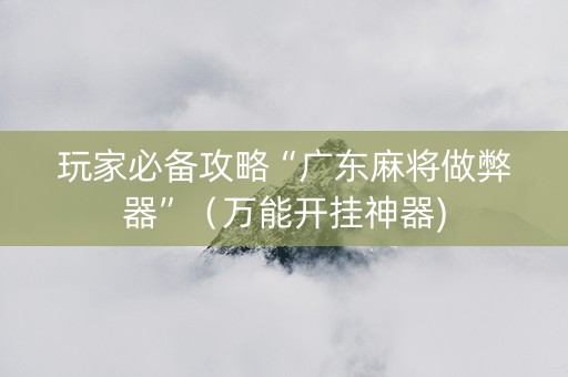 玩家必备攻略“广东麻将做弊器”（万能开挂神器)