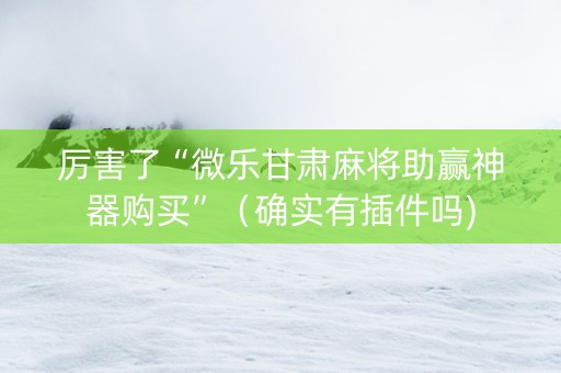 厉害了“微乐甘肃麻将助赢神器购买”（确实有插件吗)