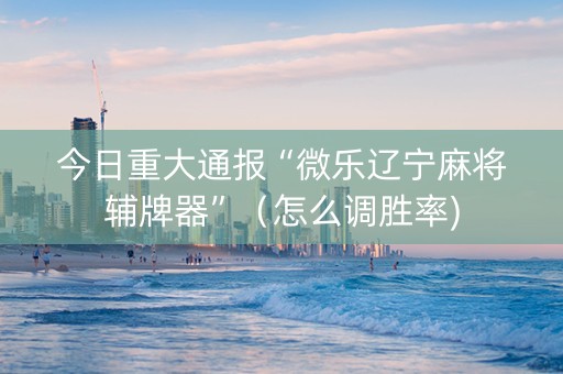 今日重大通报“微乐辽宁麻将辅牌器”（怎么调胜率)