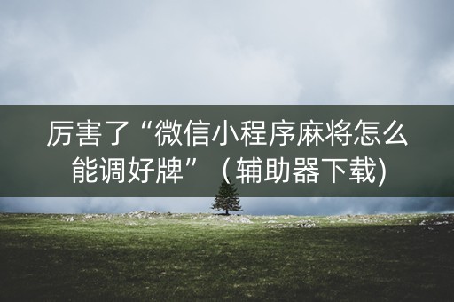 厉害了“微信小程序麻将怎么能调好牌”（辅助器下载)