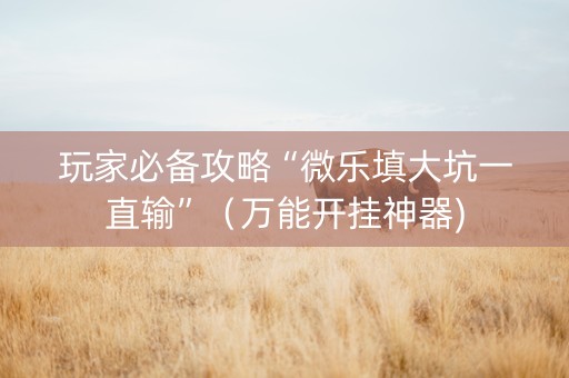 玩家必备攻略“微乐填大坑一直输”（万能开挂神器)