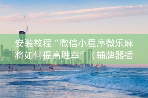 安装教程“微信小程序微乐麻将如何提高胜率”（辅牌器插件购买)