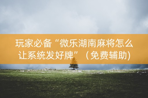 玩家必备“微乐湖南麻将怎么让系统发好牌”（免费辅助)
