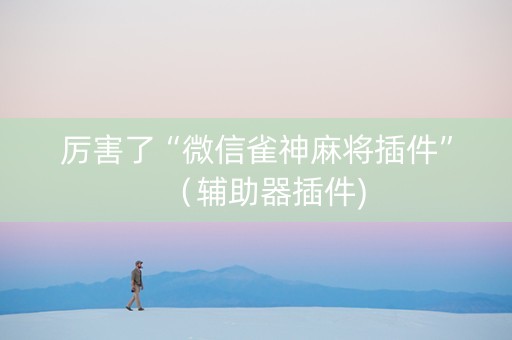 厉害了“微信雀神麻将插件”（辅助器插件)