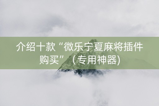 介绍十款“微乐宁夏麻将插件购买”（专用神器)