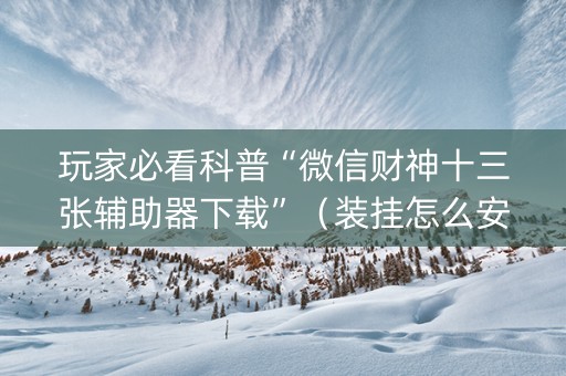 玩家必看科普“微信财神十三张辅助器下载”（装挂怎么安装)