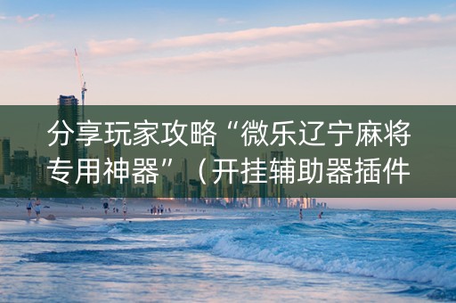 分享玩家攻略“微乐辽宁麻将专用神器”（开挂辅助器插件)