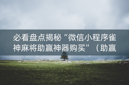 必看盘点揭秘“微信小程序雀神麻将助赢神器购买”（助赢神器购买)