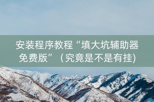 安装程序教程“填大坑辅助器免费版”（究竟是不是有挂)
