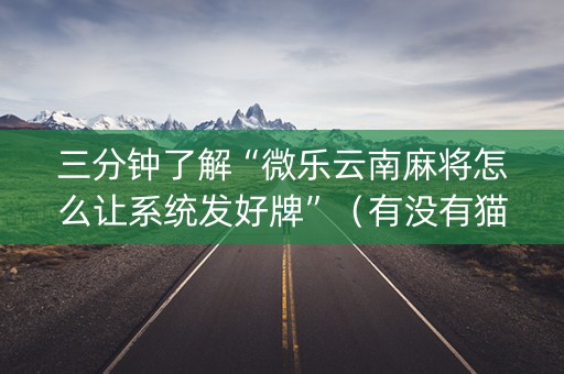 三分钟了解“微乐云南麻将怎么让系统发好牌”（有没有猫腻)