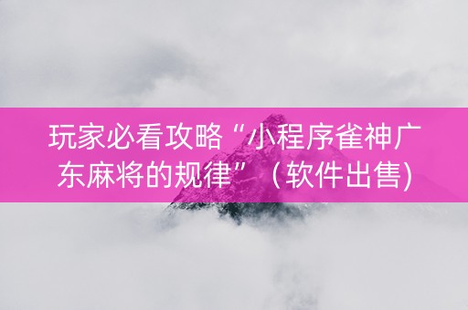 玩家必看攻略“小程序雀神广东麻将的规律”（软件出售)