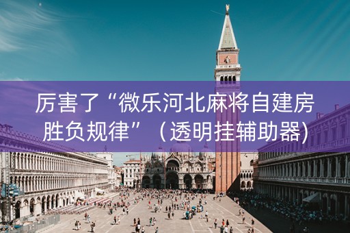 厉害了“微乐河北麻将自建房胜负规律”（透明挂辅助器)